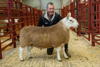 NCC Park Shearling Ram from Messrs Runciman Allanshaws sold for £1050